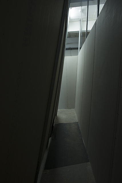 Portrait of Jennie, exhibition view, CCI Fabrika, Moscov, 2015