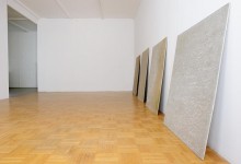 Wenn graue Flächen nicht reden, dann darf ein Papagei nicht schweigen, O.T. Raum für aktuelle Kunst, Lucerne, 2016